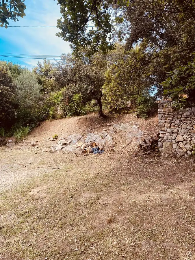 Avant le débroussaillement : talus en friche sous des chênes verts, broussaille et bois mort au pied d'un mur en pierre sèche