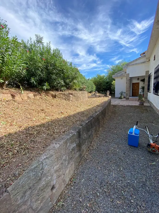 Talus débroussaillé et broyé le long d'un mur en pierre devant une villa du Luc, lauriers-roses conservés